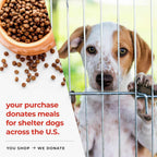 iHeartDogs Turkey Tail Mushroom para Perros - Polvo con Caldo de Huesos y Mezcla de 6 Hongos