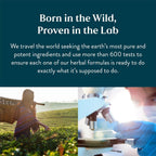 Nature's Sunshine Kidney Activator TCM Concentrate, 30 Cápsulas