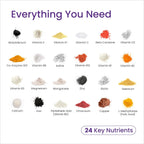 Proceive Vitaminas para la Lactancia para Nuevas Mamás, Suplemento Postnatal Después del Parto, con 24 Nutrientes Clave, 1 Mes de Suministro, Vegano, 60 Cápsulas