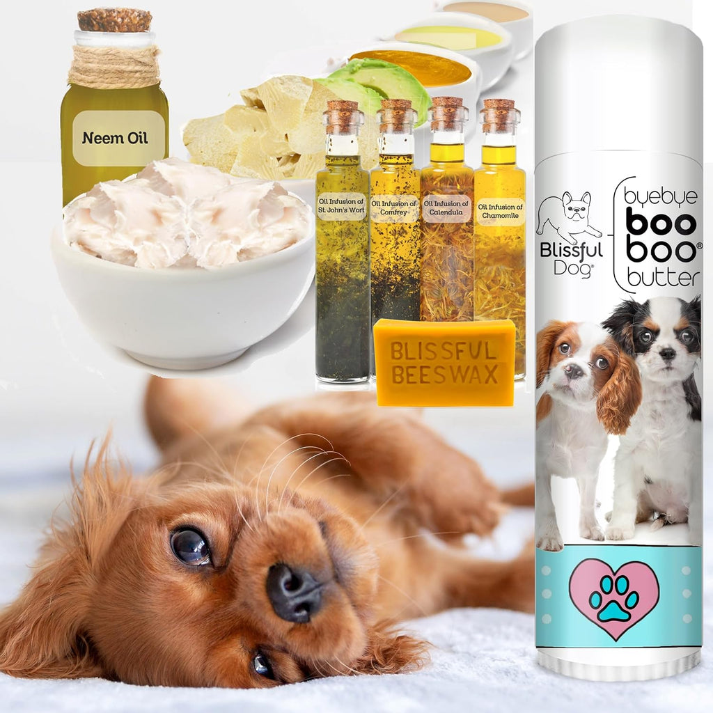 The Blissful Dog Tubo de 0.50 oz Mantequilla Booboo para Cavalier King Charles Spaniel