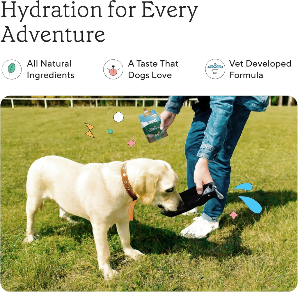 Rallie Agua Hidrogenada Sabor Carne para Perros con Electrolitos, Glucosamina y Vitaminas B - Paquete de 6 Botellas de 500ml