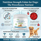 Folate para perros para promover la salud cardiovascular y prenatal, apoyar la síntesis de ADN y el mantenimiento celular, ácido fólico para perros con zinc, biotina, hierro y vitamina B12, 120 masticables blandos