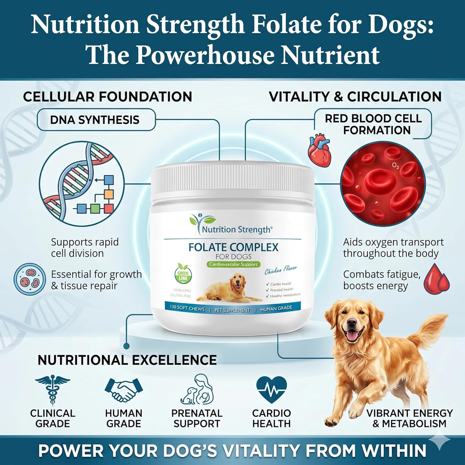 Folate para perros para promover la salud cardiovascular y prenatal, apoyar la síntesis de ADN y el mantenimiento celular, ácido fólico para perros con zinc, biotina, hierro y vitamina B12, 120 masticables blandos
