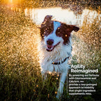 Vita-Tabs Suplemento Multivitamínico y Mineral para Perros - Recomendado por Veterinarios - 60 Comprimidos Masticables para Piel, Pelaje, Energía y Bienestar