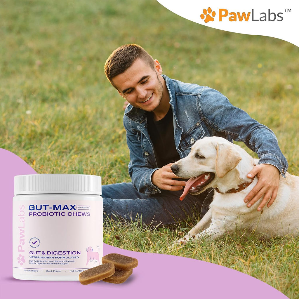 Gut Max Probiotic Chews - Masticables digestivos e inmunitarios para perros con BC30™ - Sabor a pato - 90 unidades