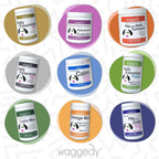 Waggedy Advanced Dog Probiotics Gut and Digestion Food Topper – Probiótico en polvo con enzimas digestivas y papaya – Probióticos suaves para perros de 6 semanas en adelante – Apoya el equilibrio intestinal, el confort y la salud inmunitaria