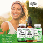 Wild & Organic Gotas Líquidas de Musgo Marino y Bladderwrack - Tintura Multimineral - Vegana, Sin Azúcar ni Alcohol - 60 ml