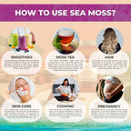 WELLNESS LABSRX Gel de Musgo Marino Irlandés Silvestre – Sabor Saúco – 10 oz