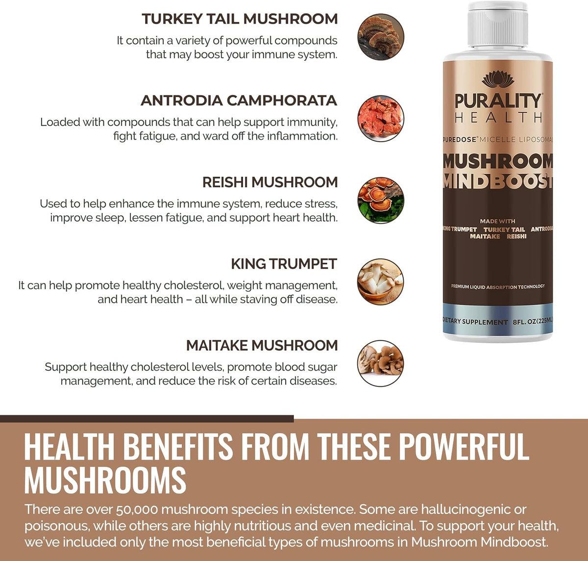 Liposomal Mushroom Mindboost - Mezcla de 5 – King Trumpet (Pleurotus eryngii): Aporta antioxidantes que protegen – Image 3