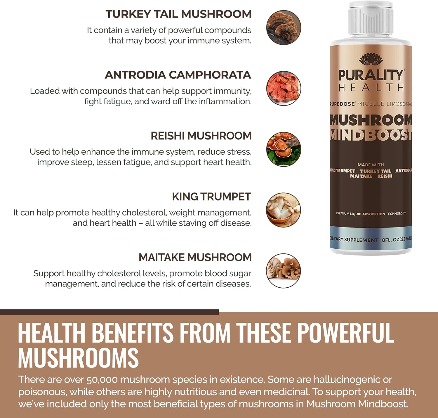 Liposomal Mushroom Mindboost - Mezcla de 5 Hongos - 8 oz (237 ml) - Suplemento Vegano para Energía y Claridad Mental