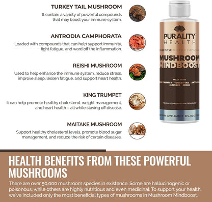 Liposomal Mushroom Mindboost - Mezcla de 5 – King Trumpet (Pleurotus eryngii): Aporta antioxidantes que protegen – Image 3