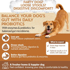 Good Guts Probióticos para Perros Pequeños – Polvo Digestivo con 3B UFC, Enzimas y Prebióticos