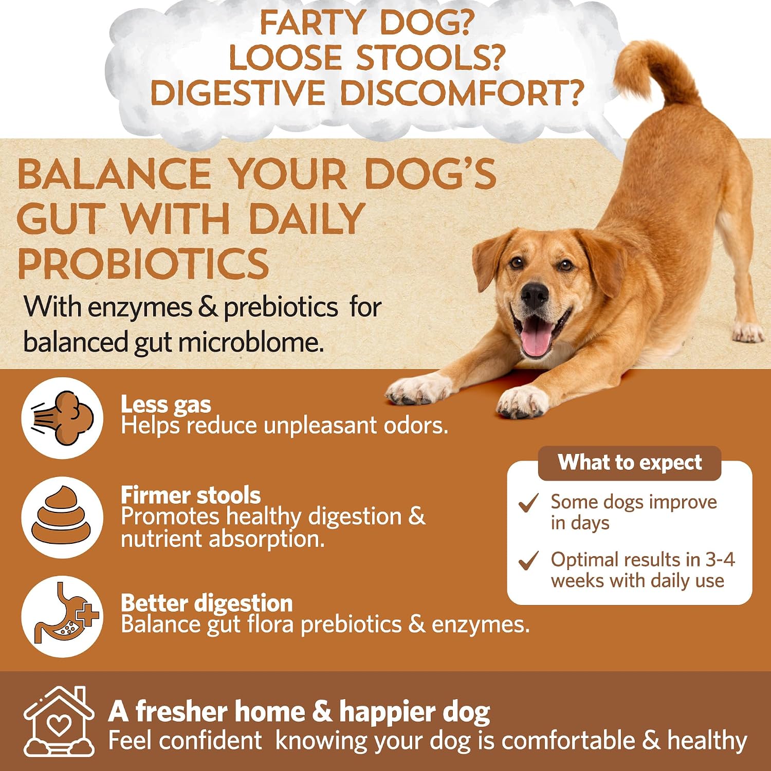 Good Guts Probióticos para Perros Pequeños – Polvo Digestivo con 3B UFC, Enzimas y Prebióticos