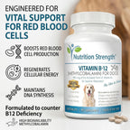 Nutrition Strength Vitamina B12 para Perros con Folato y Calcio - 120 Comprimidos Masticables