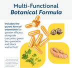 Researched Nutritionals Artemisinin SOD - 120 Cápsulas