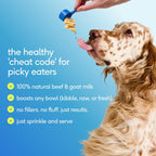 Native Pet The Daily Dog - Vitaminas y Suplementos Diarios para Perros - Multivitamínico en Polvo 11 en 1 - Apoya la Salud General, Digestión, Movilidad e Inmunidad con Colágeno, Glucosamina y Probióticos – 120 Dosis