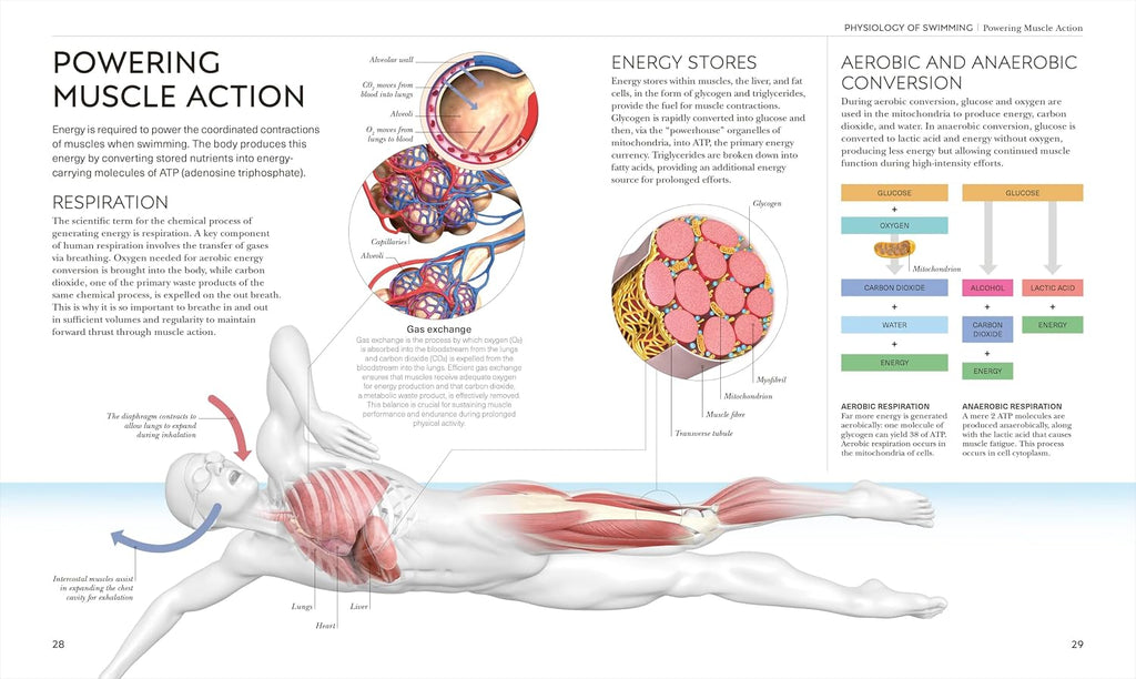 Science of Swimming: Transform Your Stroke, Improve Strength, Revolutionize Your Training (The Science of Fitness)