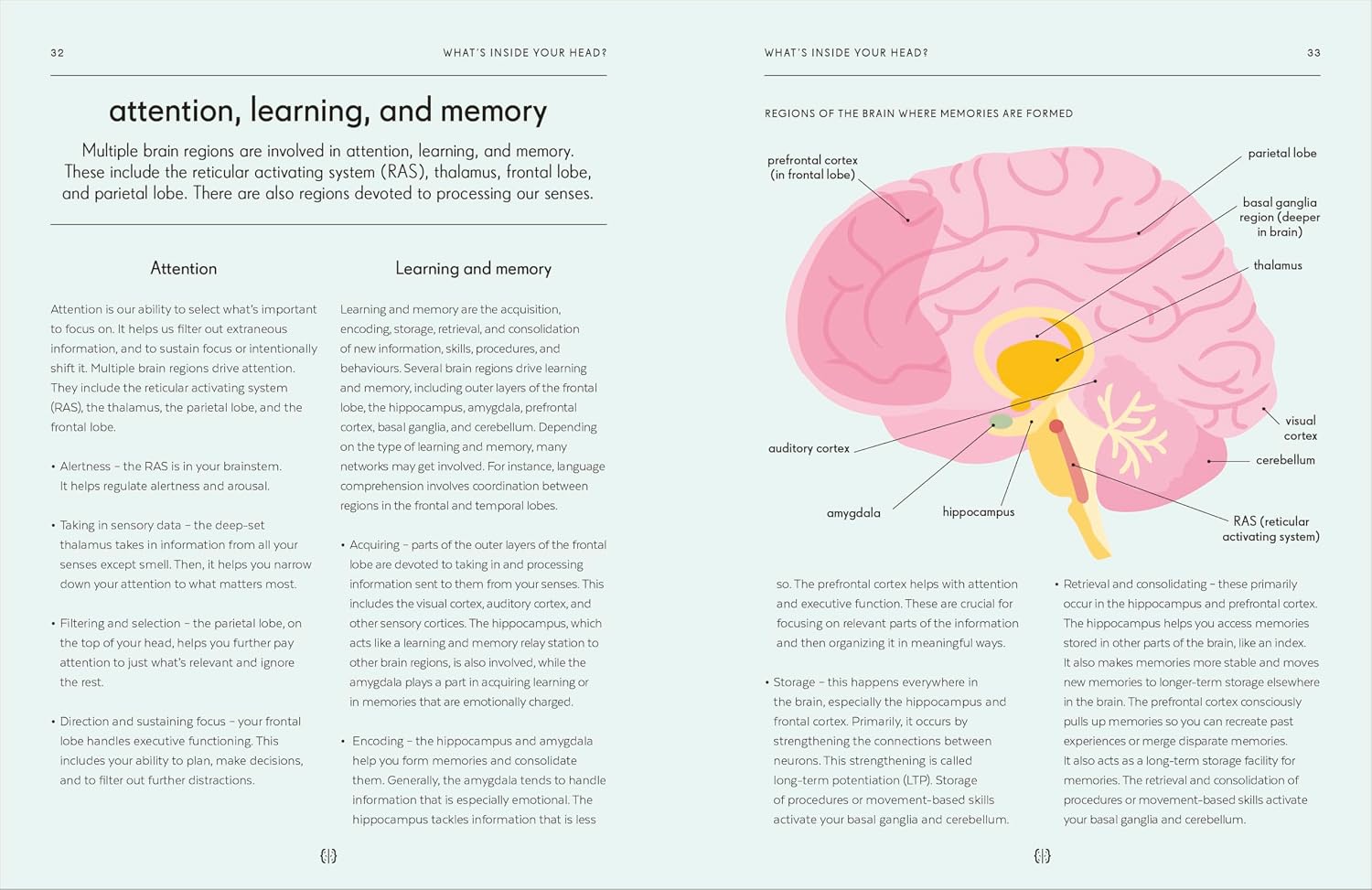 Brain: An Owner's Guide (The Body Literacy Library)