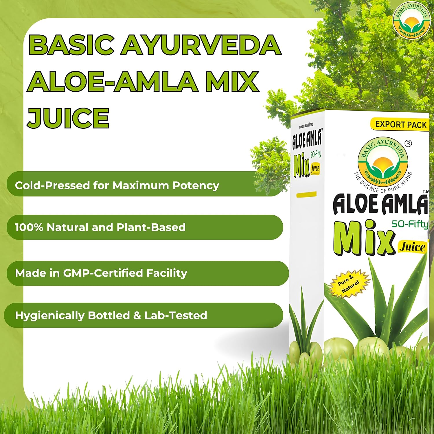Basic Ayurveda Aloe Vera & Amla Herbal Mix Juice 480 ml