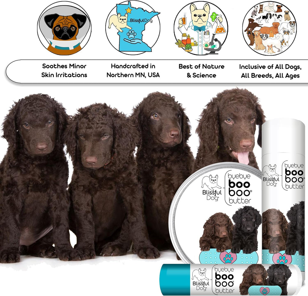 The Blissful Dog Curly-Coat Retriever Boo Boo Butter, 14 g