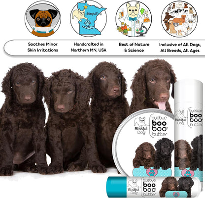 The Blissful Dog Curly-Coat Retriever Boo – Aceite de coco (Cocos nucifera) – Image 6