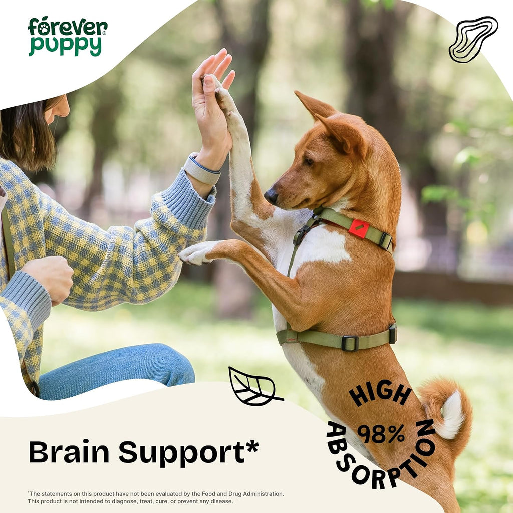 Forever Puppy Lion's Mane – Suplemento Líquido para Perros con Apoyo Cognitivo – 59 ml