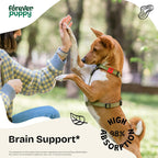 Forever Puppy Lion's Mane – Suplemento Líquido para Perros con Apoyo Cognitivo – 59 ml