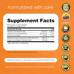 NaturaLife Labs Vitamina C con Vitamina D3, Zinc, Saúco y Jengibre – 1.700 mg por ración – 100 Cápsulas Veganas
