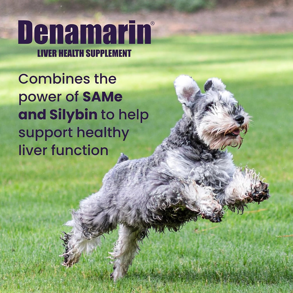 Nutramax Denamarin para Perros Medianos – Suplemento Hepático con SAMe y Silibina, 30 Comprimidos