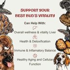 Vitality - 20-in-1 Turkey Tail Mushroom for Dogs - Mushroom & Adaptogen Supplement for Senior Dogs - Supporting Immune Health & Daily Wellness - with Reishi, Chaga