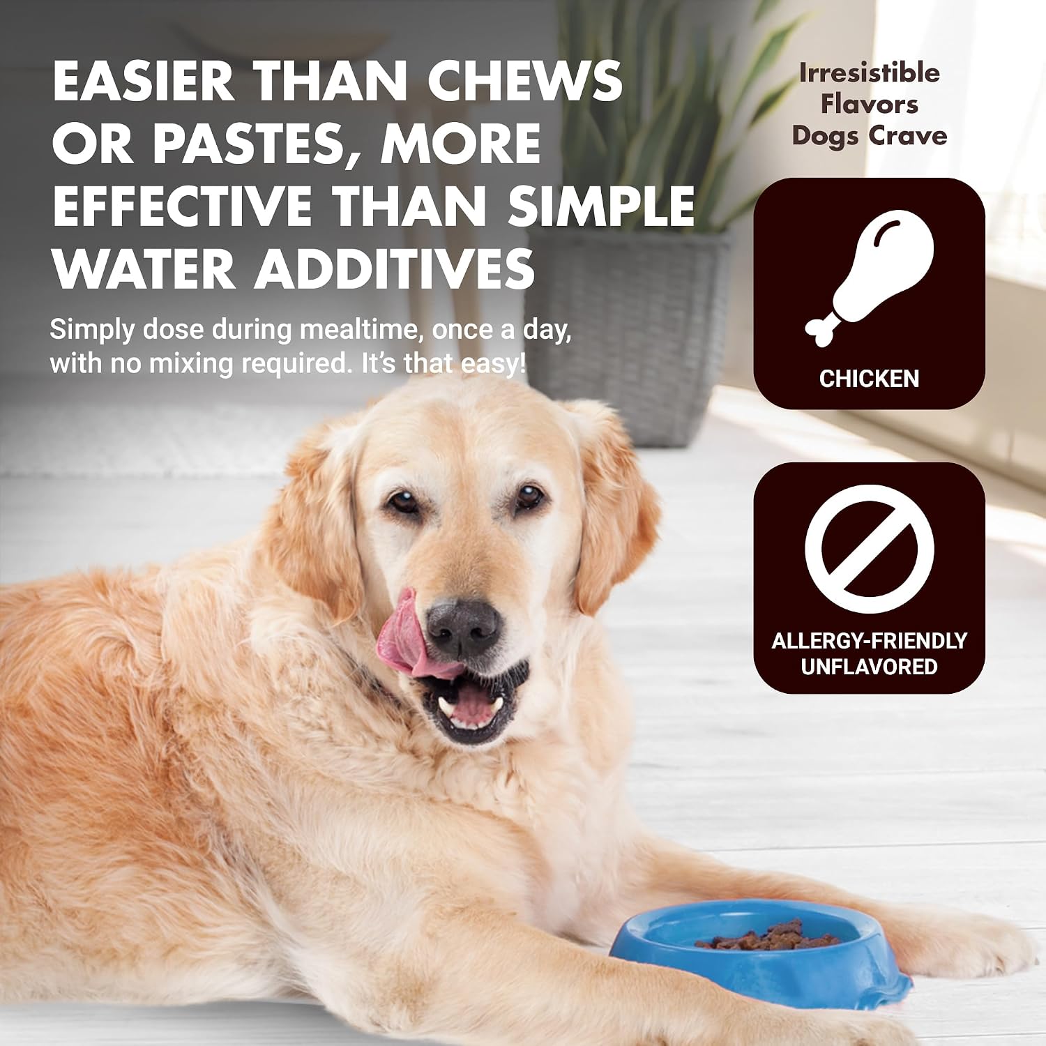 Apoyo Inmunológico para Perros – Protección Antioxidante y Salud Intestinal – Inulina, Beta-Glucano y Omega-3 / Aceite de Pescado y Más! - Hecho para Perros Exigentes