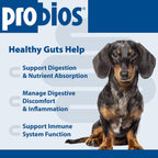 Probios Soft Chews Probióticos para Perros - Salud Digestiva e Inmune - 120 Masticables