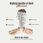Herbsforever Mucuna Pruriens (Frijol Terciopelo) Extracto Extra Fuerte 15:1 - 60 Cápsulas Veganas