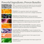 Stonehenge Health Dynamic Immunity - Suplemento Inmunitario 10 en 1 con Saúco, Equinácea, Zinc, Vitamina C y Probiótico - 60 Cápsulas
