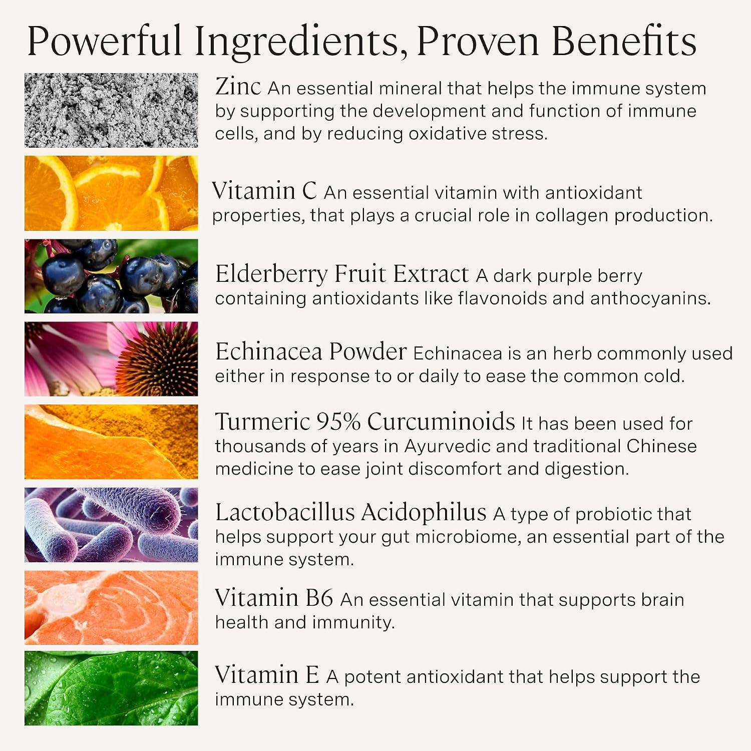 Stonehenge Health Dynamic Immunity - Suplemento Inmunitario 10 en 1 con Saúco, Equinácea, Zinc, Vitamina C y Probiótico - 60 Cápsulas