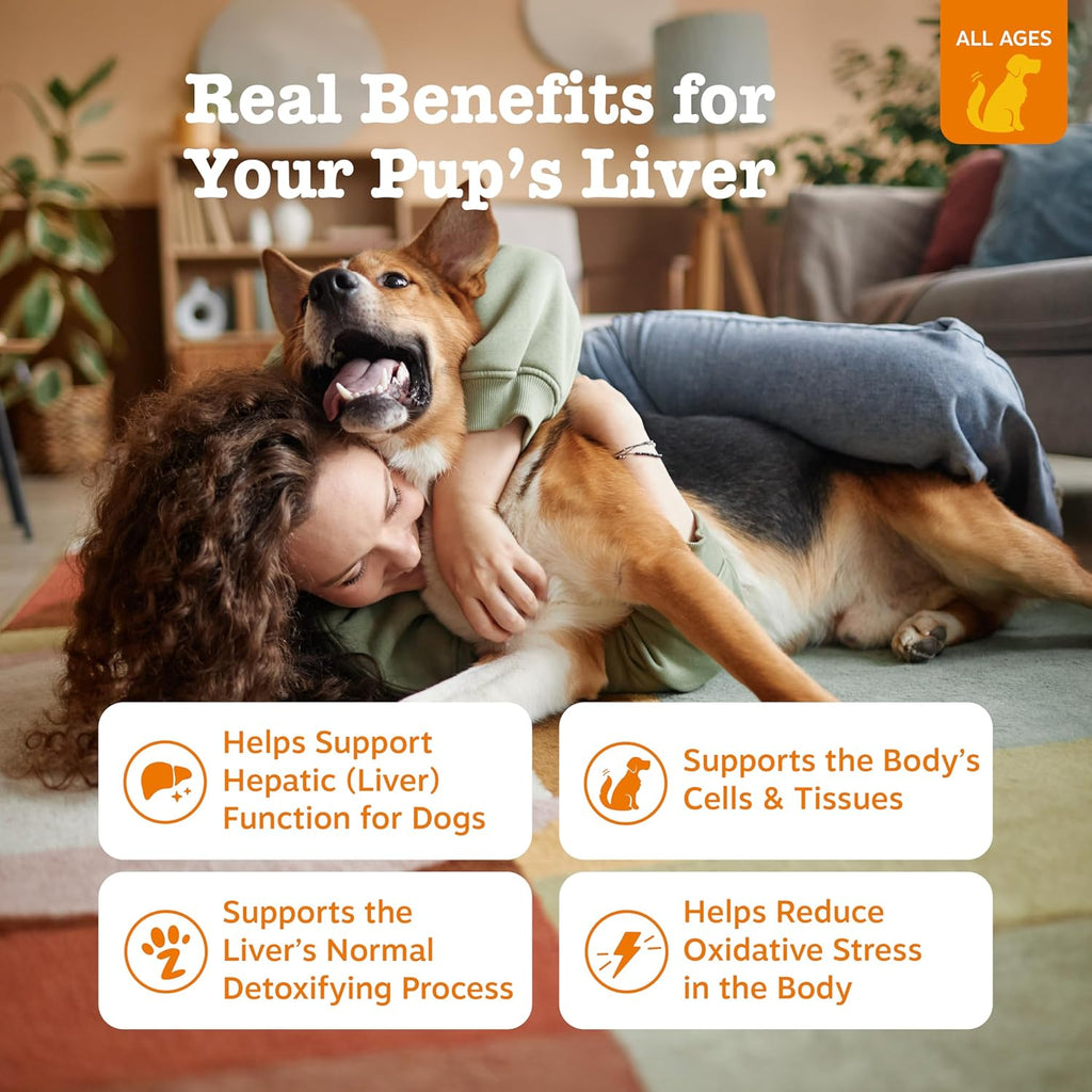 Zesty Paws Suplemento Hepático para Perros con Cardo Mariano, Cúrcuma y Colina - Mordeduras Blandas
