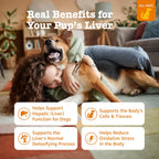Zesty Paws Suplemento Hepático para Perros con Cardo Mariano, Cúrcuma y Colina - Mordeduras Blandas