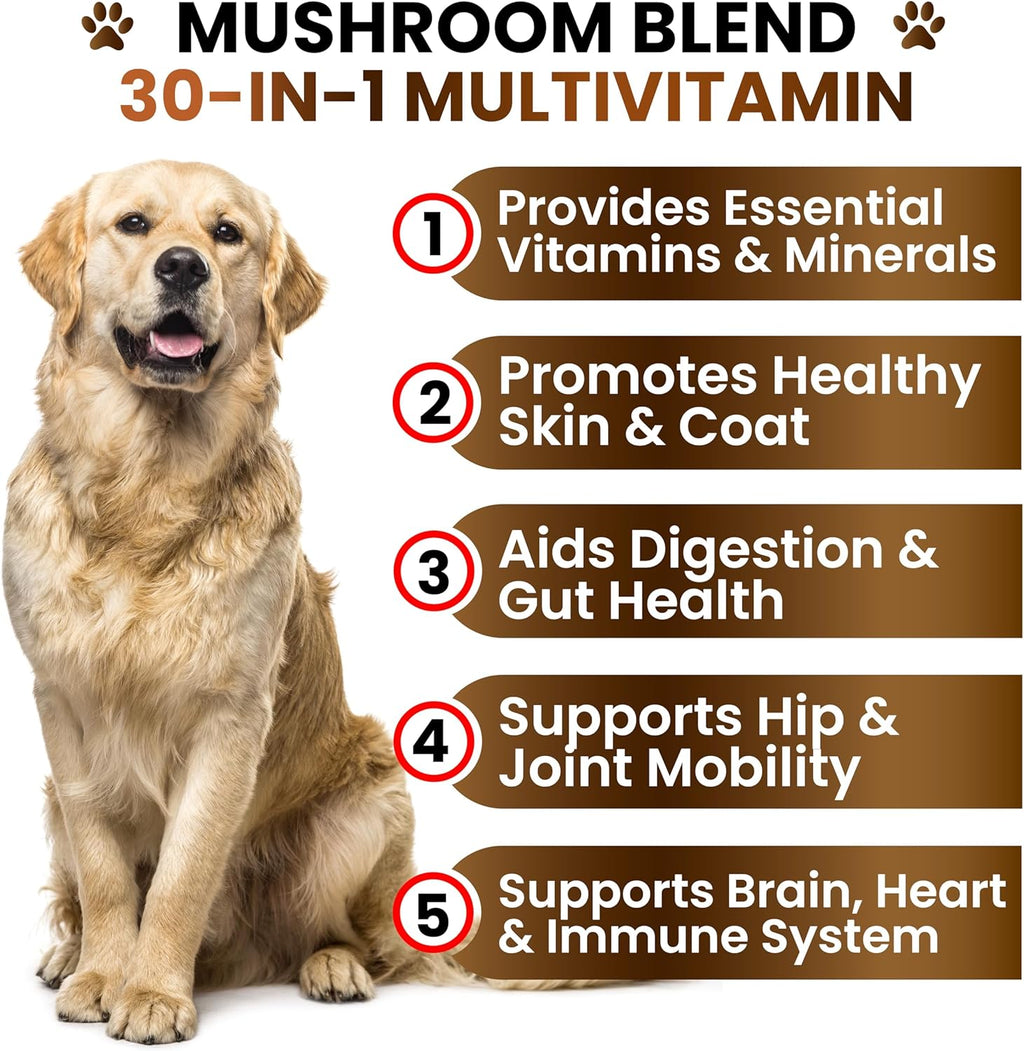 Suplemento de Hongo Cola de Pavo para Perros – 170 Chewables – Multivitamínico con Hongos, Glucosamina y Probióticos