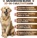 Suplemento de Hongo Cola de Pavo para Perros – 170 Chewables – Multivitamínico con Hongos, Glucosamina y Probióticos