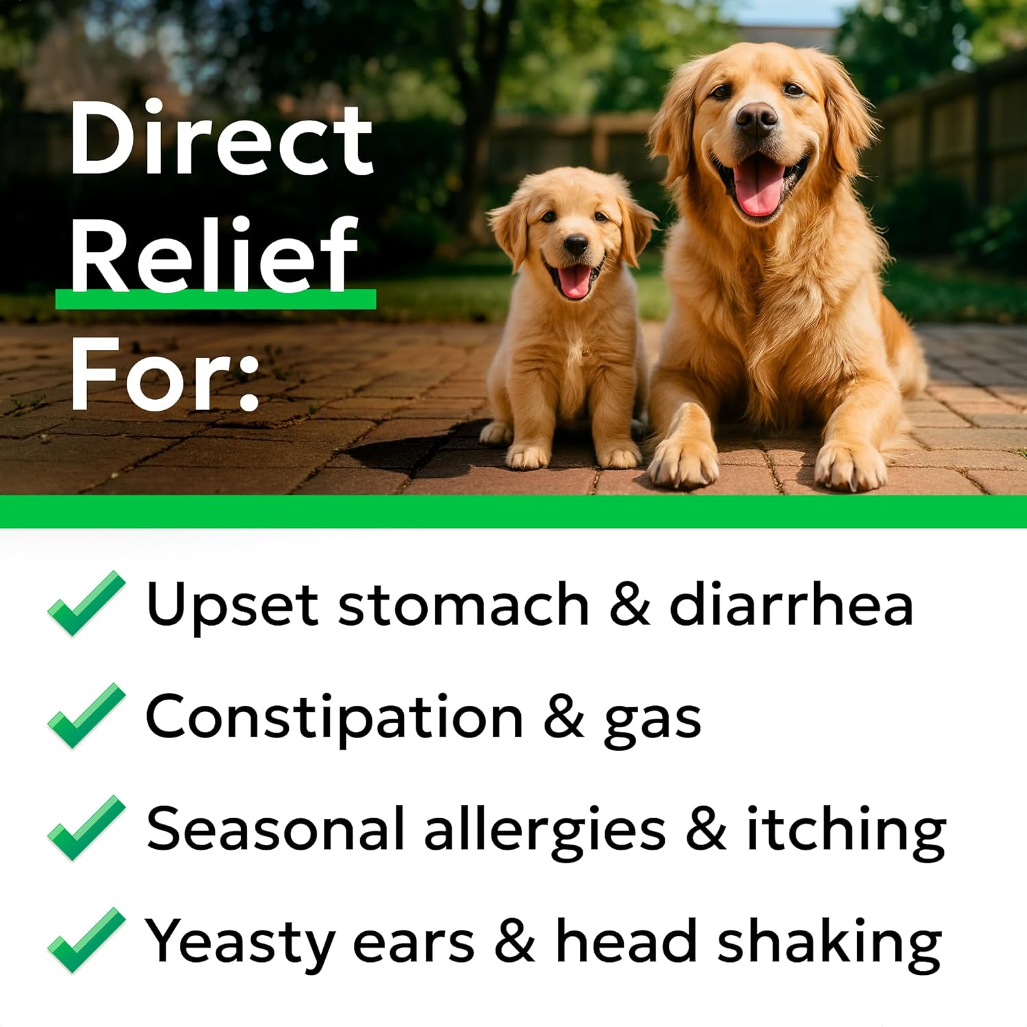 Bark&Spark Masticables Probióticos para Perros - 60 Mil Millones de UFC - 120 Unidades