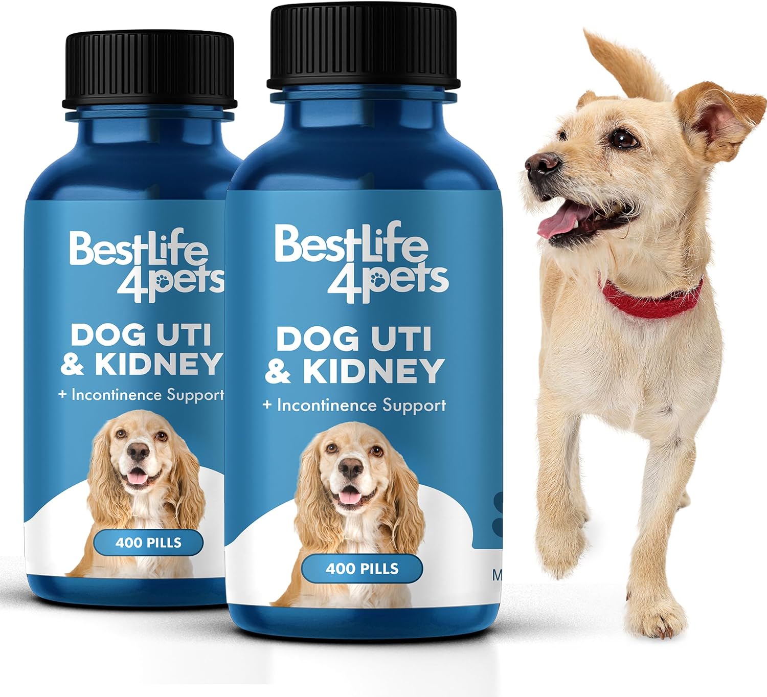 Fórmula para el Tratamiento de ITU y Salud Renal en Perros – Suplemento Urinario Natural – 400 Comprimidos Pequeños