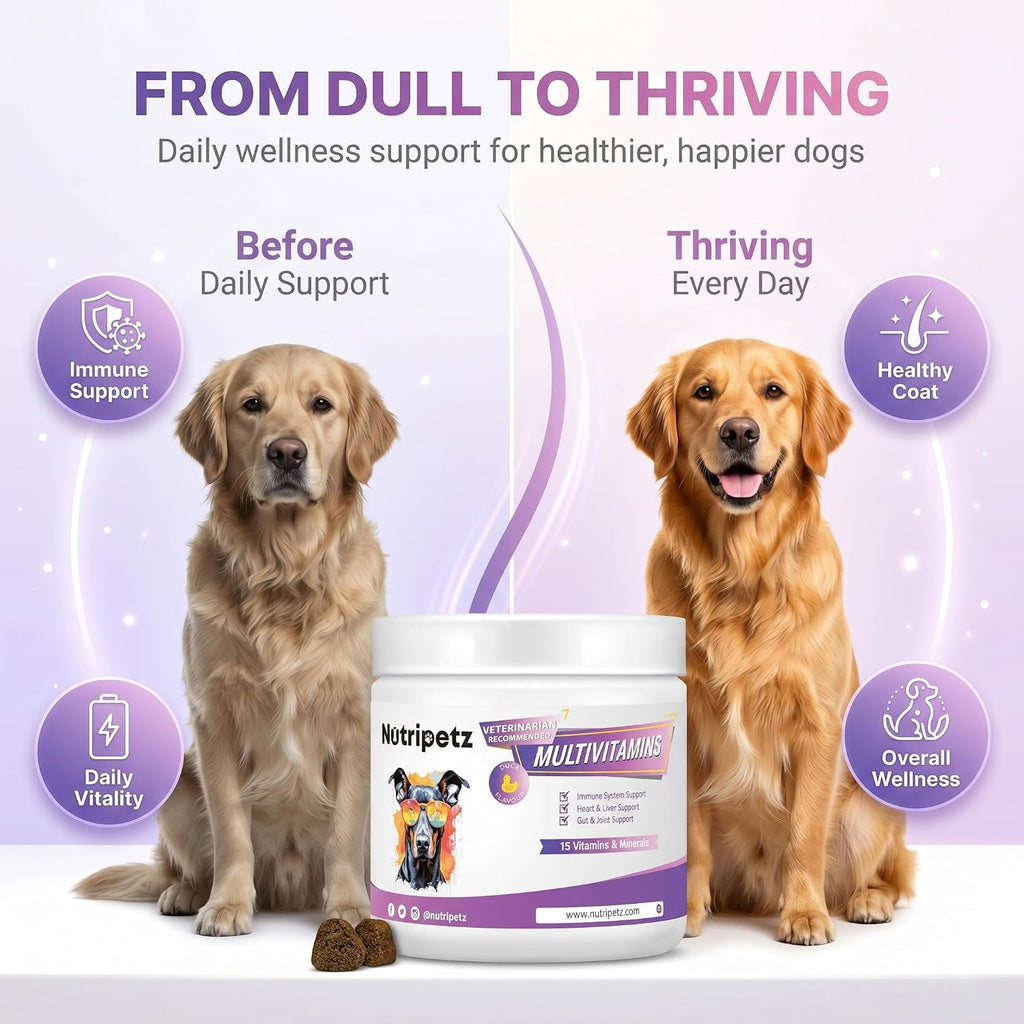 Nutripetz Suplemento Multivitamínico para Perros y Gatos, 120 Masticables Sabor Pato con Glucosamina y Probióticos