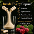 Natural Home Cures Cápsulas de Nopal Liofilizado Premium, Cultivado en Montañas de México, 500 mg, 120 Cápsulas Veganas
