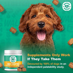 Doggie Dailies Masticables Cognitivos para Cachorros con DHA, Selenio, Ashwagandha Orgánica y Antioxidantes – 120 Masticables Blandos Sabor Mantequilla de Cacahuete