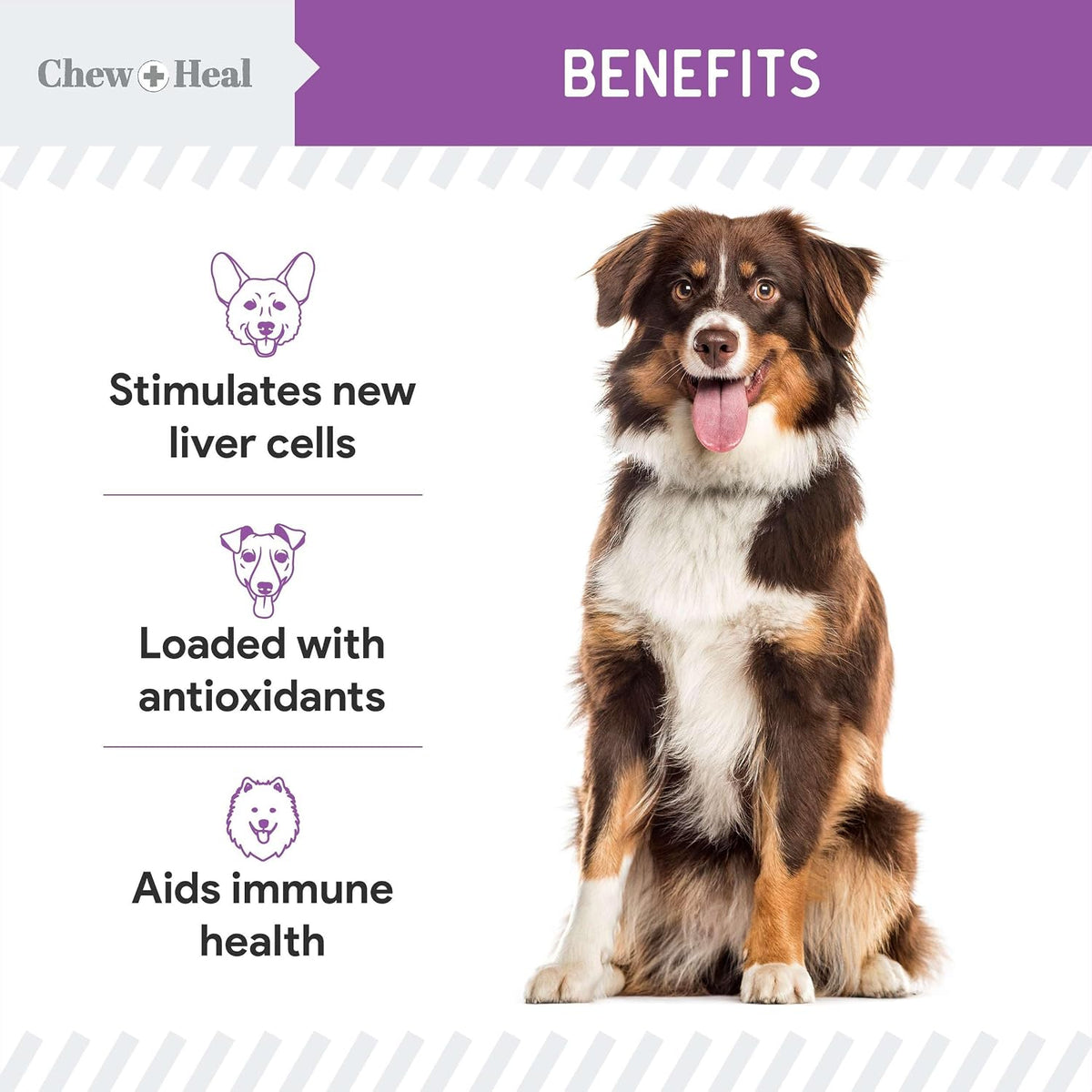 Cardo Mariano para Perros Apoyo Hepático - 60 ml Suplemento Líquido con Aceite de Salmón de Alaska Salvaje y Aceite de – Image 4