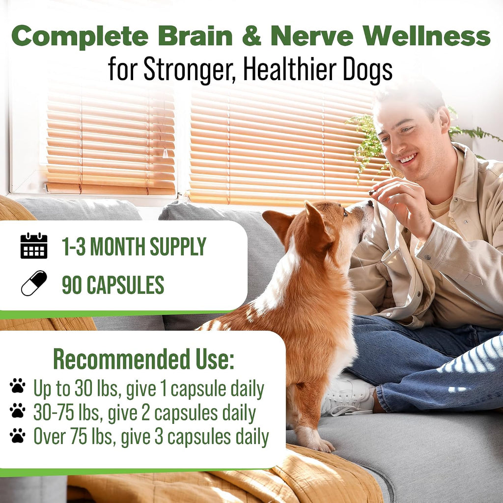 Silver Lining Herbs Suplemento cerebral y nervioso para perros - 90 Cápsulas