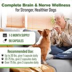 Silver Lining Herbs Suplemento cerebral y nervioso para perros - 90 Cápsulas