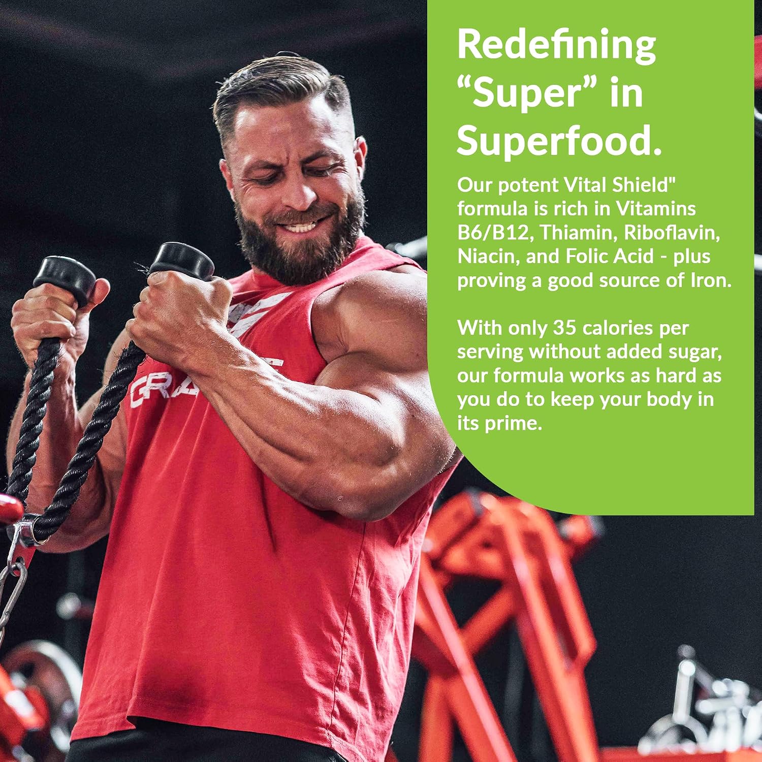 Granite Nutrition Vital Shield - Superalimentos Verdes Orgánicos con Champiñones y Cereza Ácida – Apoya Energía, Inmunidad y Salud Digestiva – Sabor Limón Lima (30 Raciones)