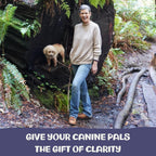 Clarity – Suplemento de Setas para el Apoyo Cognitivo en Perros con Adaptógenos