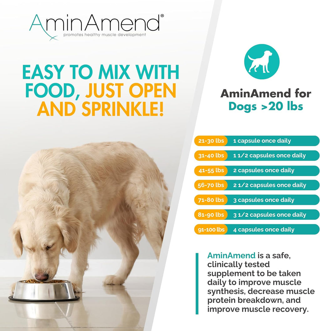 AminAmend Suplemento Muscular para Perros Grandes – CaHMB y Vitamina D3, 30 cápsulas